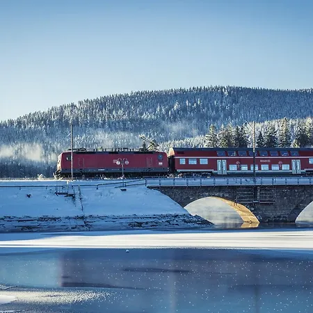Gaestehaus Bartlehof Lejlighed Schluchsee
